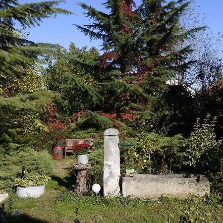 Villa-Magdi Vendeghaz Révfülöp Exteriér fotografie