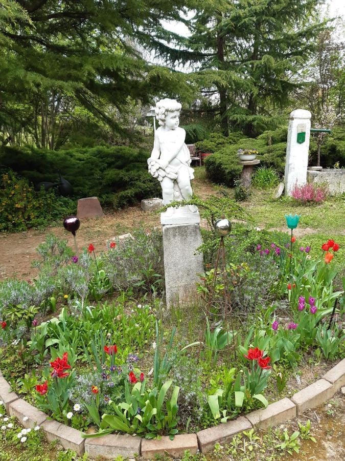 Villa-Magdi Vendeghaz Révfülöp Exteriér fotografie