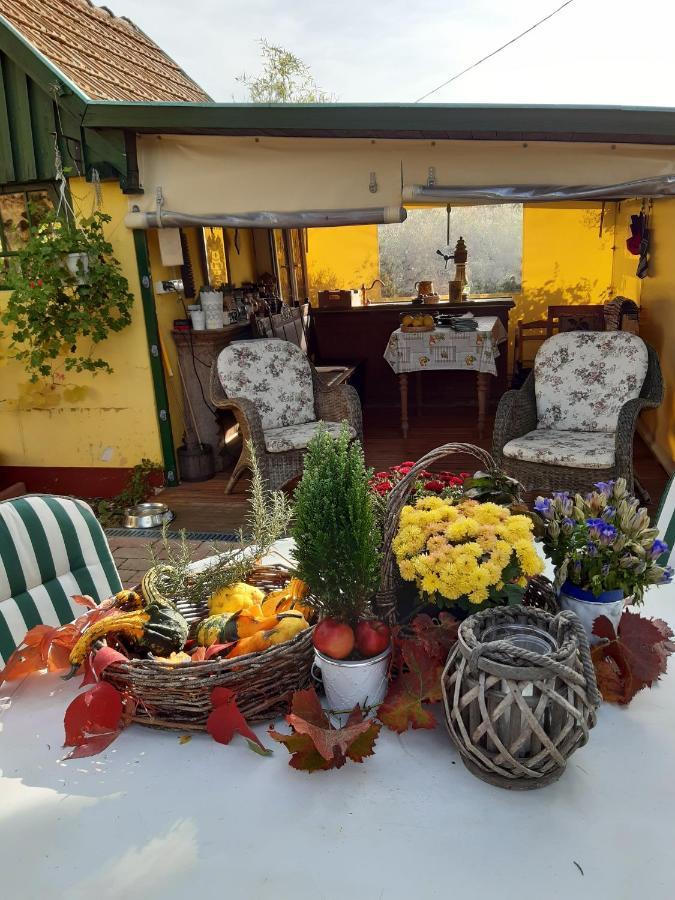 Villa-Magdi Vendeghaz Révfülöp Exteriér fotografie