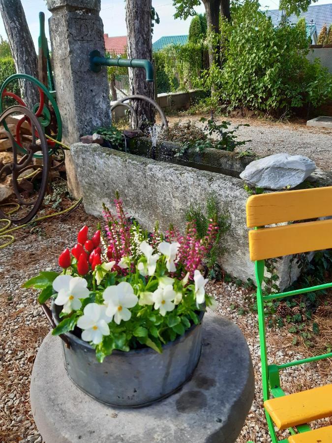 Villa-Magdi Vendeghaz Révfülöp Exteriér fotografie