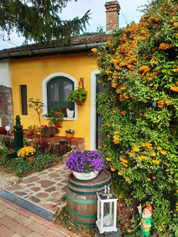 Villa-Magdi Vendeghaz Révfülöp Exteriér fotografie