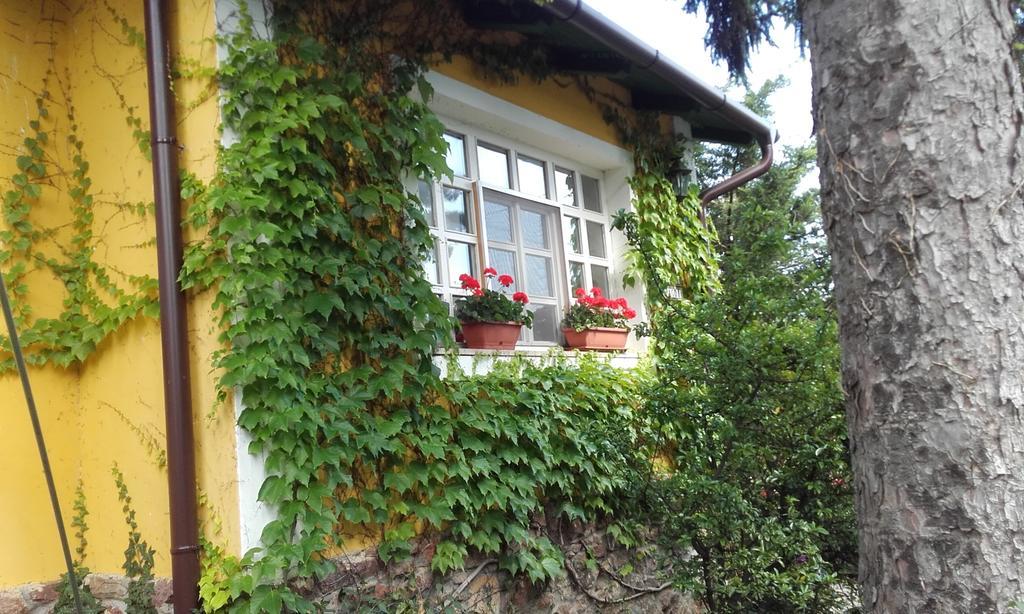 Villa-Magdi Vendeghaz Révfülöp Exteriér fotografie