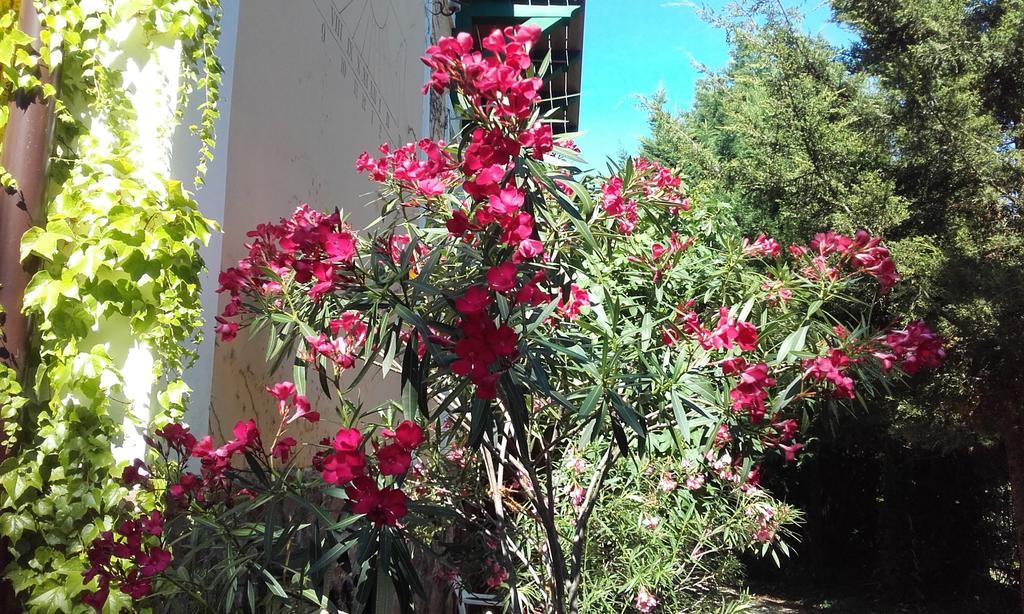 Villa-Magdi Vendeghaz Révfülöp Exteriér fotografie
