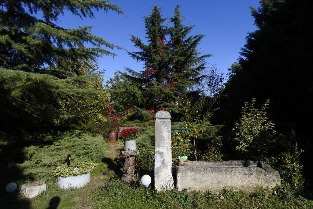 Villa-Magdi Vendeghaz Révfülöp Exteriér fotografie