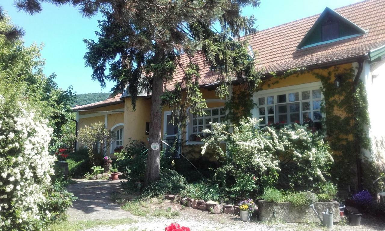 Villa-Magdi Vendeghaz Révfülöp Exteriér fotografie