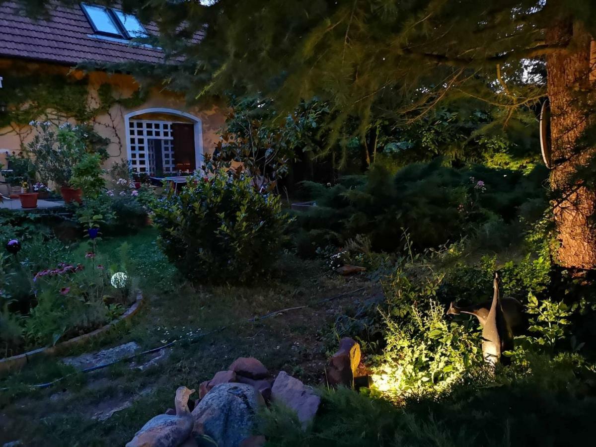 Villa-Magdi Vendeghaz Révfülöp Exteriér fotografie