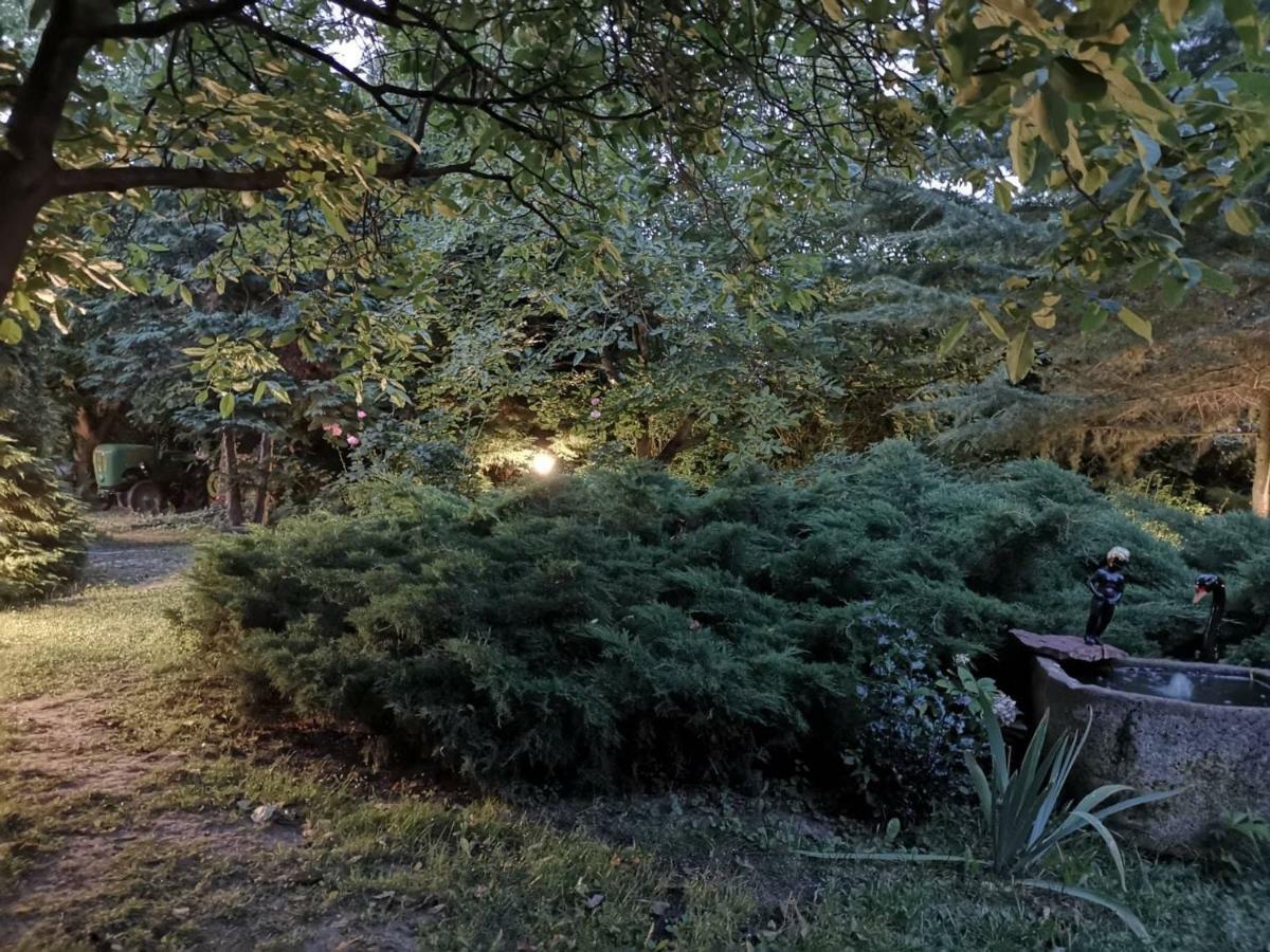 Villa-Magdi Vendeghaz Révfülöp Exteriér fotografie
