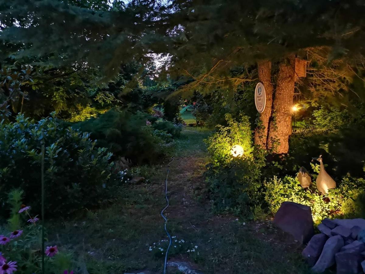 Villa-Magdi Vendeghaz Révfülöp Exteriér fotografie